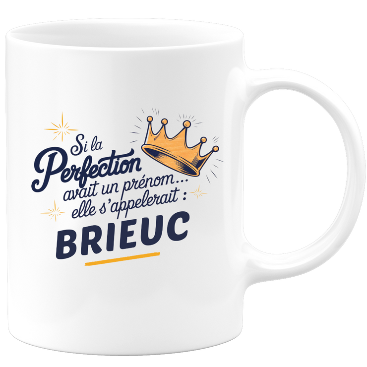 Mug Si la perfection avait un prénom… elle s’appellerait : Brieuc