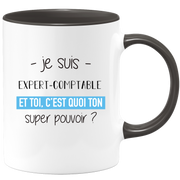 Super power accountant mug - funny humor accountant man gift ideal for birthday