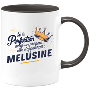 Mug Si la perfection avait un prénom… elle s’appellerait : Melusine