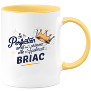 Mug Si la perfection avait un prénom… elle s’appellerait : Briac