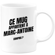 Mug Ce mug appartient à Marc-Antoine, compris ?
