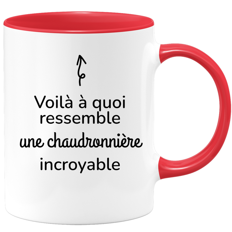 quotedazur - Mug Voilà À Quoi Ressemble Une Chaudronnière Incroyable - Cadeau Pour Chaudronnière - Cadeau Personnalisé Pour Femme - Cadeau Original Anniversaire Ou Noël
