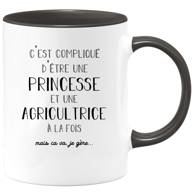 Princess Farmer Mug - Women's Gift for Farmer Funny Humor Ideal for Colleague Birthday