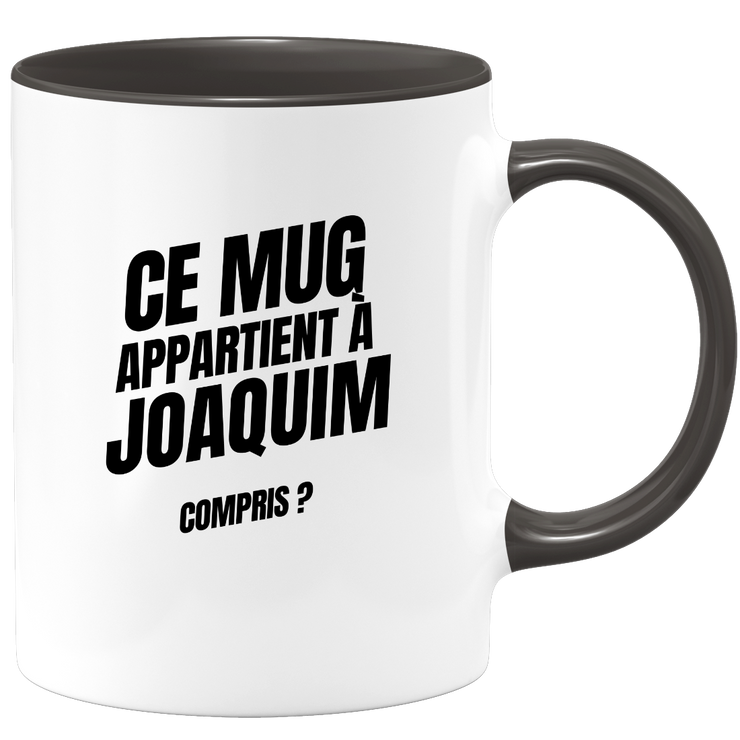 Mug Ce mug appartient à Joaquim, compris ?