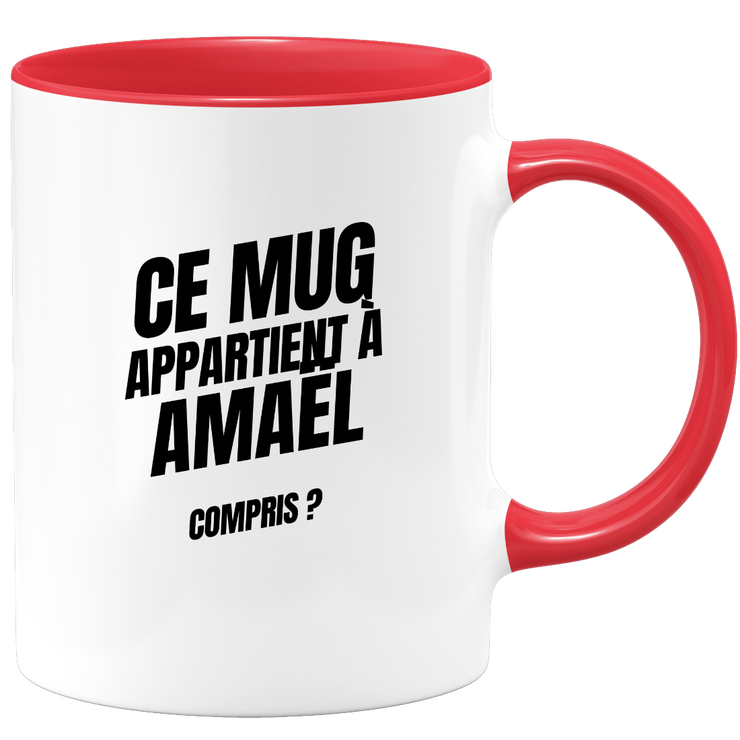 Mug Ce mug appartient à Amaël, compris ?