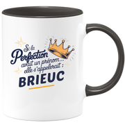Mug Si la perfection avait un prénom… elle s’appellerait : Brieuc