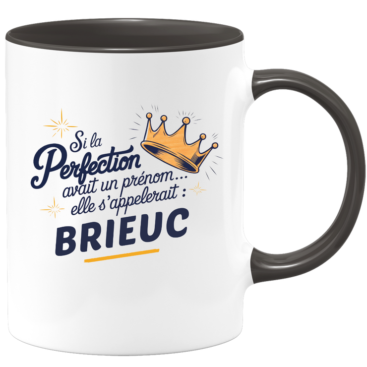 Mug Si la perfection avait un prénom… elle s’appellerait : Brieuc