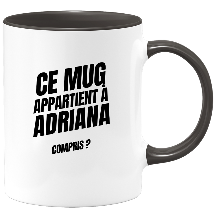 Mug Ce mug appartient à Adriana, compris ?