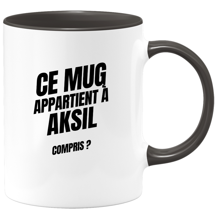Mug Ce mug appartient à Aksil, compris ?
