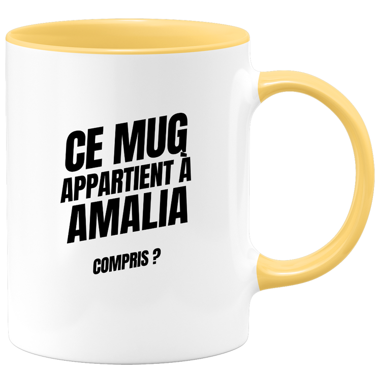Mug Ce mug appartient à Amalia, compris ?