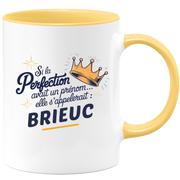 Mug Si la perfection avait un prénom… elle s’appellerait : Brieuc