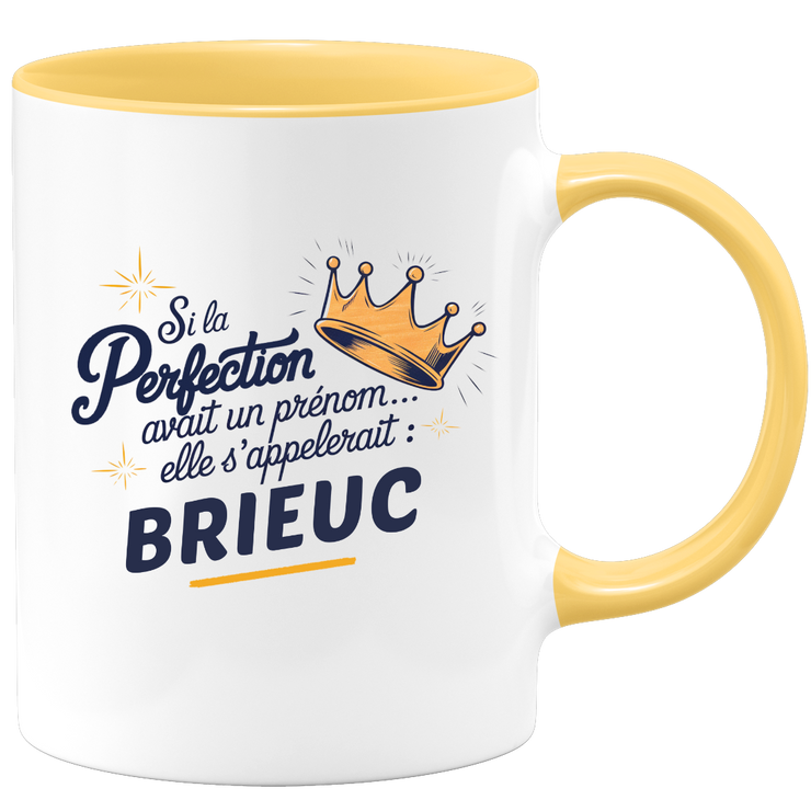 Mug Si la perfection avait un prénom… elle s’appellerait : Brieuc