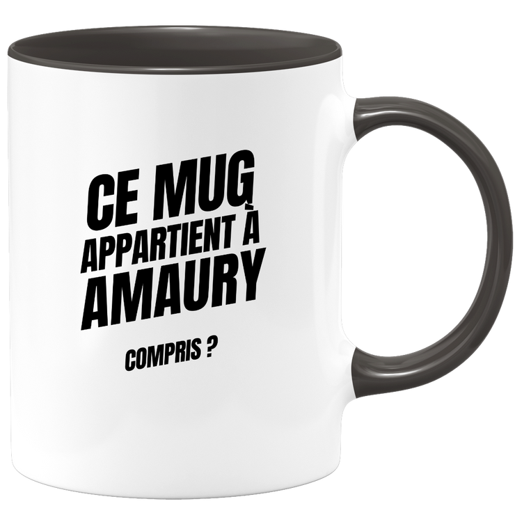 Mug Ce mug appartient à Amaury, compris ?
