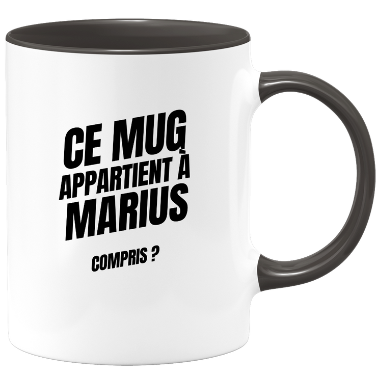 Mug Ce mug appartient à Marius, compris ?