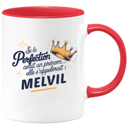 Mug Si la perfection avait un prénom… elle s’appellerait : Melvil