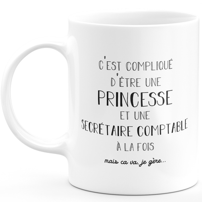 Mug secretary accountant princess - woman gift for secretary accountant Funny humor ideal for Birthday coworker